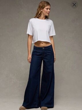 American Eagle Outfitters A Line Fit Wide Leg Jeans Size 26W